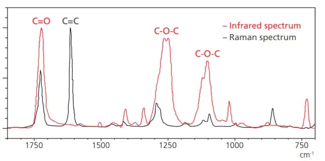 Infrared and Raman Spectrum