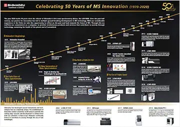 MS History Timeline PDF Preview