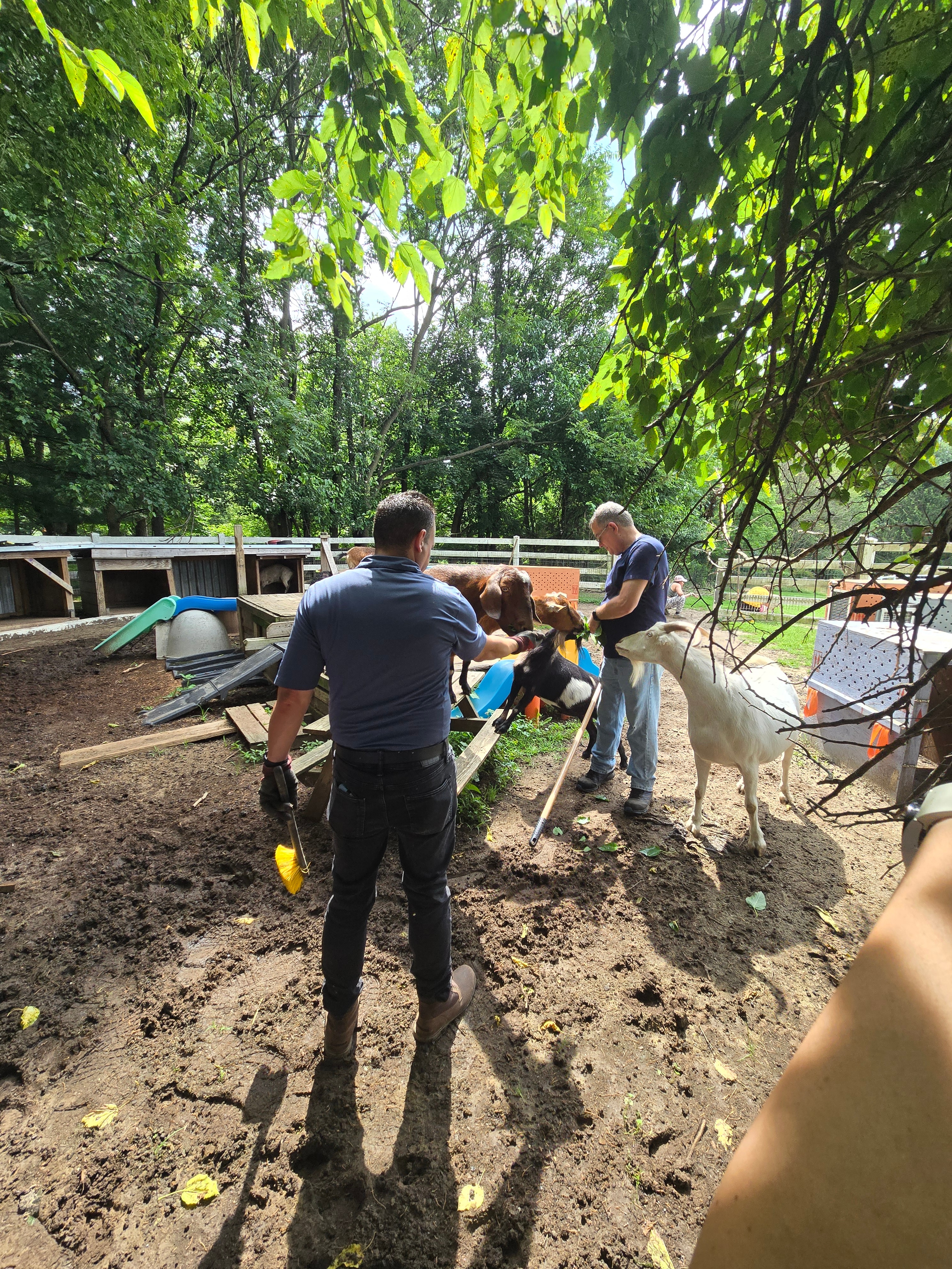 Shimadzu Scientific Instruments Volunteers at Hatton Animal Rescue