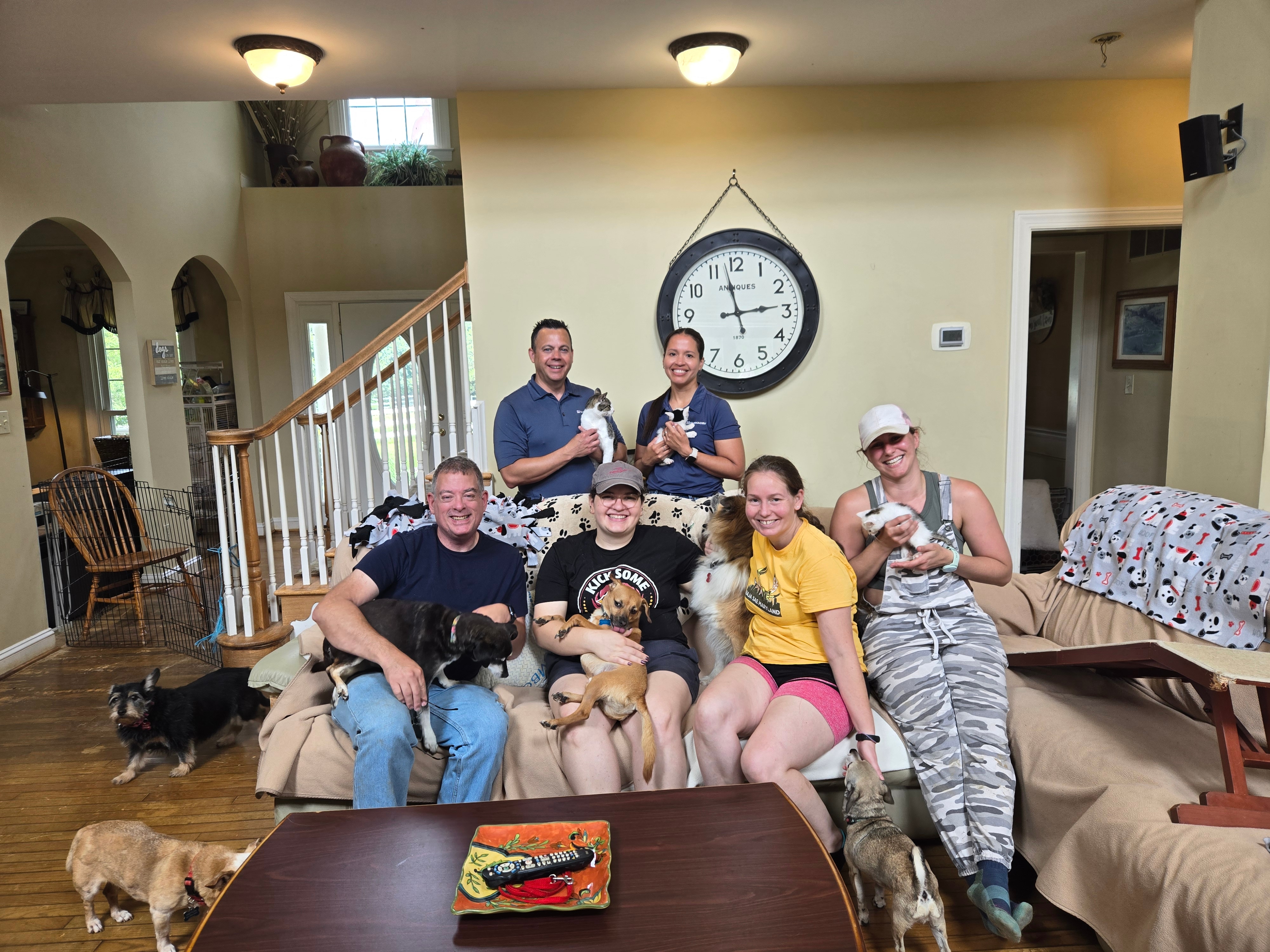 Shimadzu Scientific Instruments Volunteers at Hatton Animal Rescue