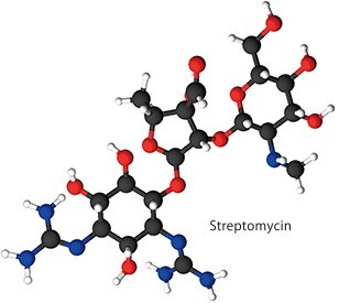Streptomycin Molecule - Targeted Aminoglycosides