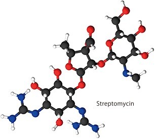 Streptomycin Streptomycin Molecule - Targeted Aminoglycosides