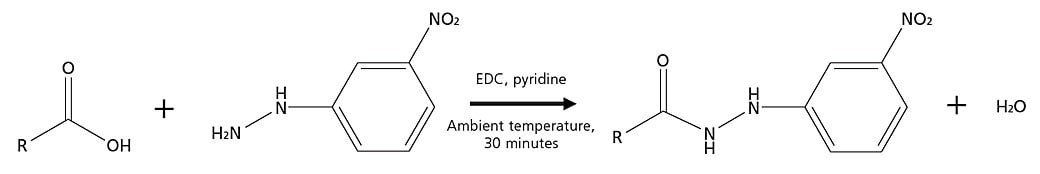 Derivatization reaction with 3-NPH