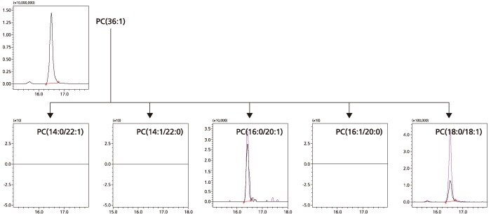 LC/MS/MS MRM Library for Phospholipid Profiling