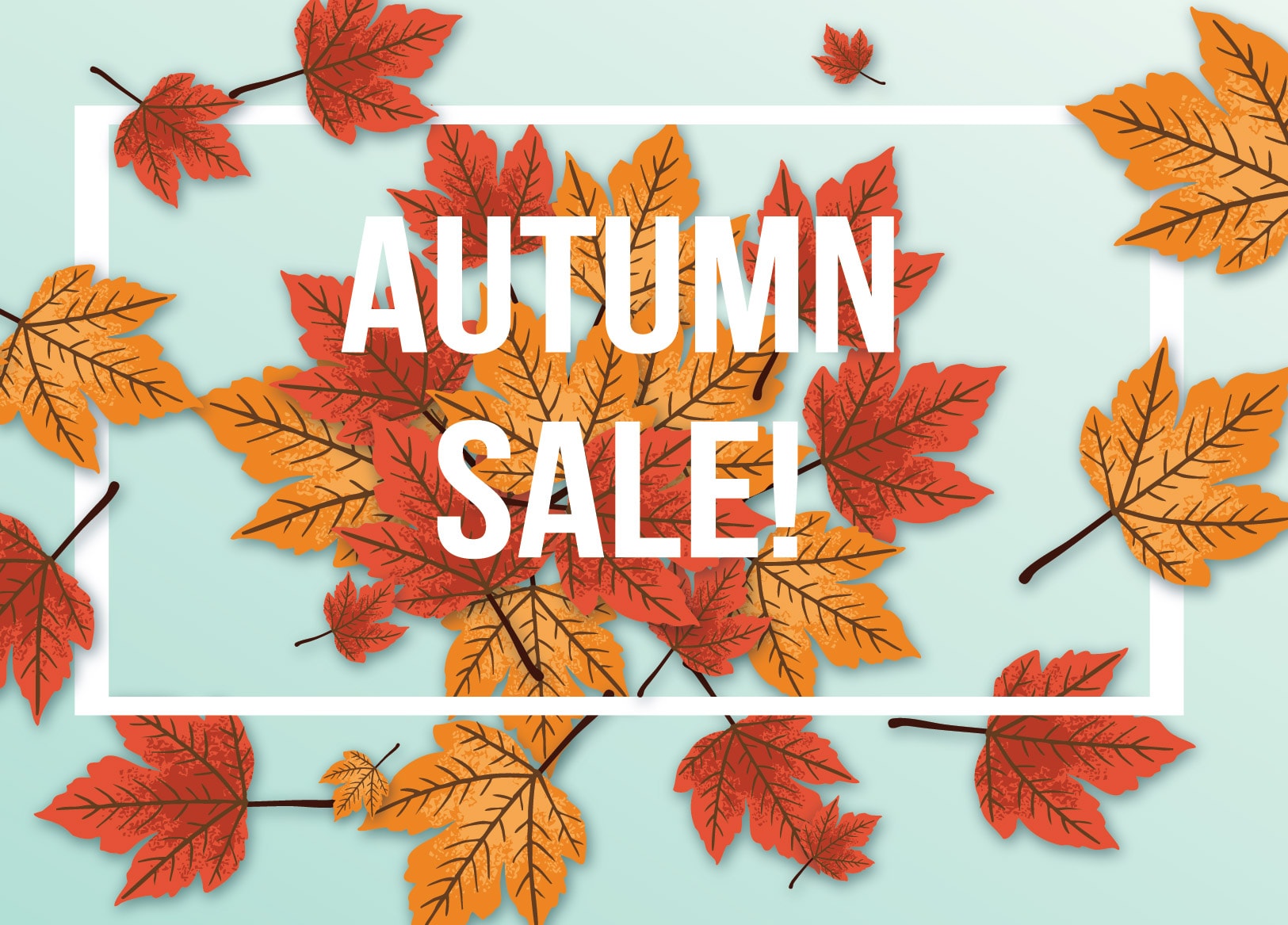Autumn Web Store Special