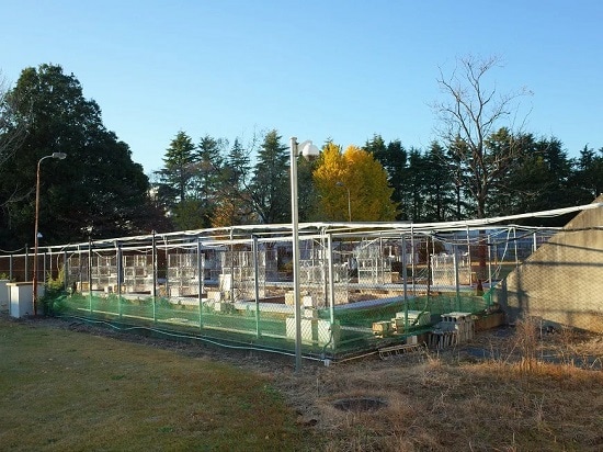 greenhouse_gas_generation_control_facility_at_naro.jpg