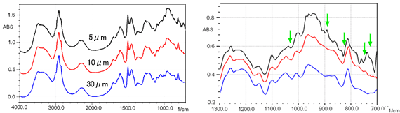 Fig. 1 Specular Reflection Absorption Spectra of Novolac Resin at 30, 10, and 5 µm　　　Fig. 2 Magnifie