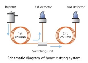 Schematic diagram of heart cutting system