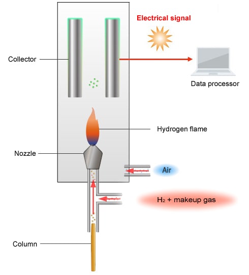 Thermal conductivity detector (TCD)