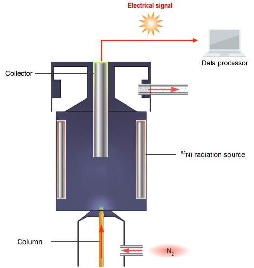 Electron Capture Detectors