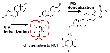 PFB and TMS Derivatization of ß-Estradiol