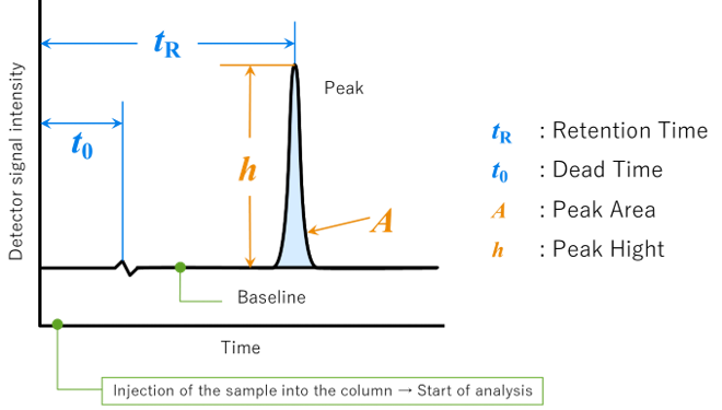 Fig.4　Chromatogram and Related Terms