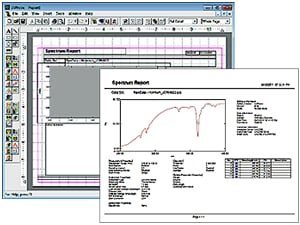 Free-format report creation