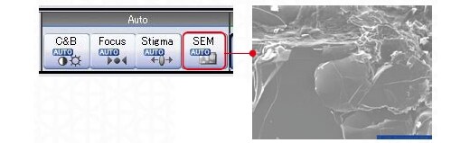 Start SEM imaging with a single click.