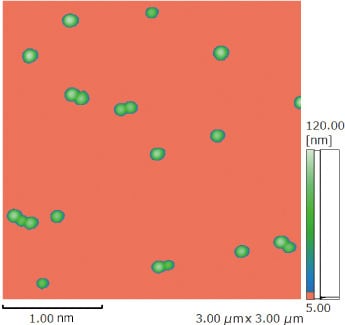 Silica Nanoparticles