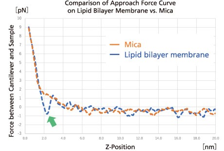 Comparison of Approach Force Curve on Lipid Bilayer Membrane vs. Mica