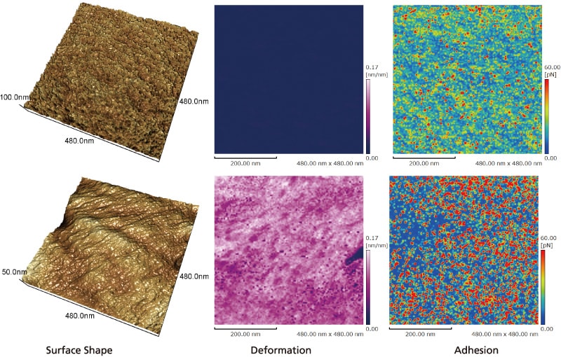 Measuring the Shape of Contact Lenses