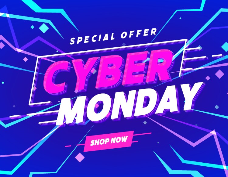 Cyber Monday Web Store Sale