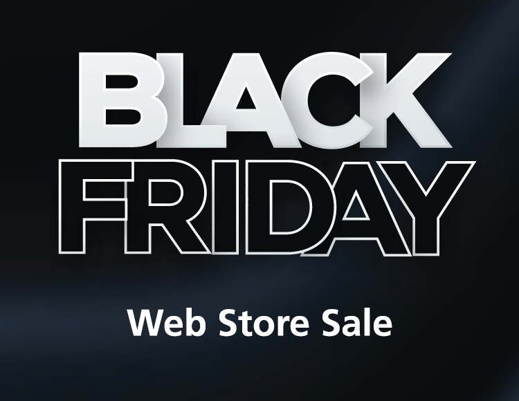 Black Friday Web Store Sale