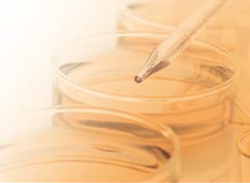 Metabolomics Product Portfolio