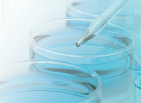 Pretreatment Procedure Handbook for Metabolites Analysis