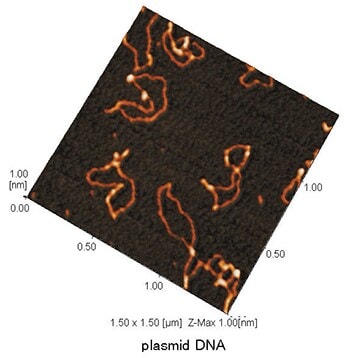 dna-rna-analysis-plasmid-dna