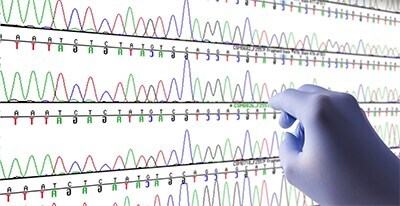 dna-rna-analysis-synthesis-confirmation-for-nucleic-acid-membranes