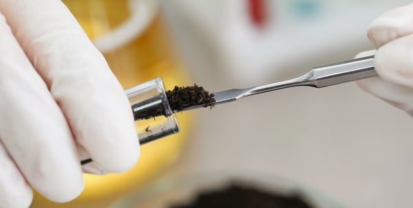 Analysis of Metals in Solid Waste