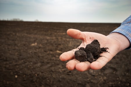 Analysis of PFAS in Solid Waste