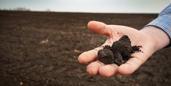 Analysis of PFAS in Solid Waste