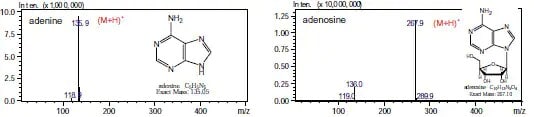 LC-MS-Analysis-of-Nucleic-Acid-Related-Compounds-fig1