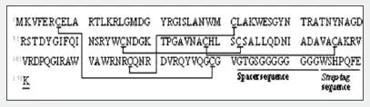 analysis-of-s-s-bonds-fig-1