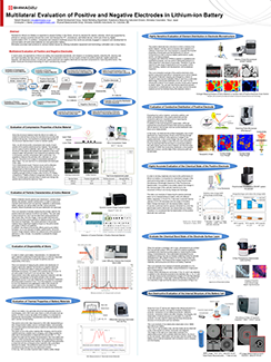 Multilateral Evaluation of Positive and Negative Electrodes in Lithium-ion Batteries