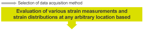 Evaluation of various strain measurements and strain distributions at any arbitrary location based