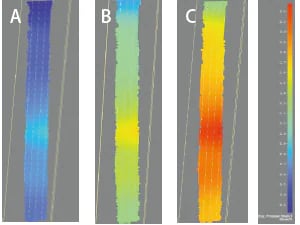 In-Plane Principal Strain Distribution (Confirmation of Strain Concentration Locations)