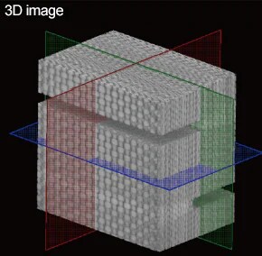 Internal structural data of out-of-plane share test specimen