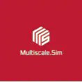 Multiscale.sim