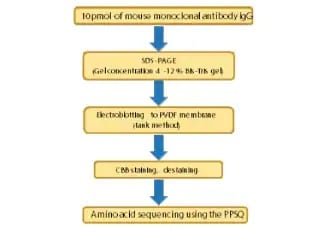 pharma-monoclonal-add-b063a