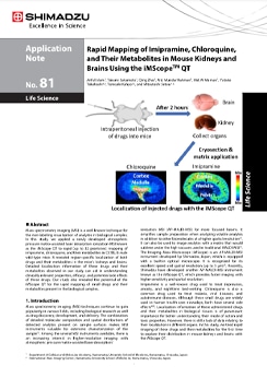 Rapid Mapping of Imipramine, Chloroquine, and Their Metabolites in Mouse Kidneys and Brains Using the iMScopeQT