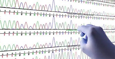 dna-rna-analysis-synthesis-confi