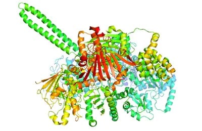 protein-peptide-main