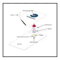 ind_ls_metabolomics_4