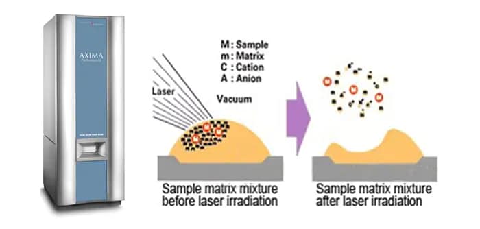 industry_environmental_maldi_sam.png