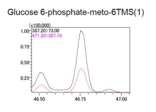small-molecule-image-102a-gcms