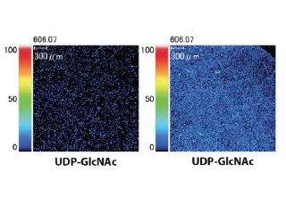 small-molecule-image-b62