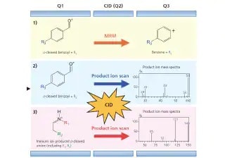 small-molecule-image-c146e327