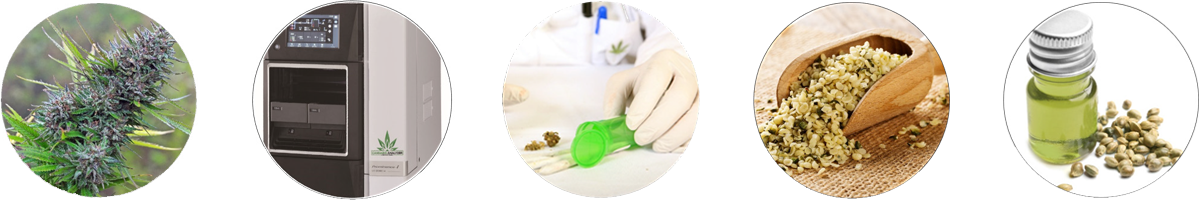 Cannabis and Hemp Testing Solutions