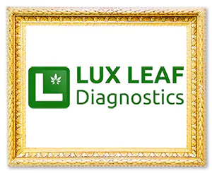 lux-leaf-frame.png