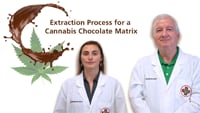 Extraction Process for a Cannabis Chocolate Matrix