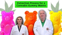 Extraction process for Cannabis Gummy Matrix